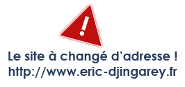 Le site à changé d'adresse : http://www.eric-djingarey.fr